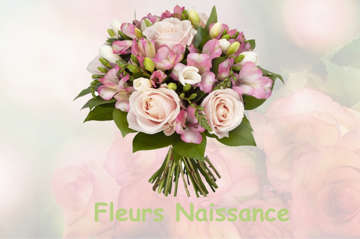 fleurs naissance SAINT-SAUVEUR-DE-FLEE
